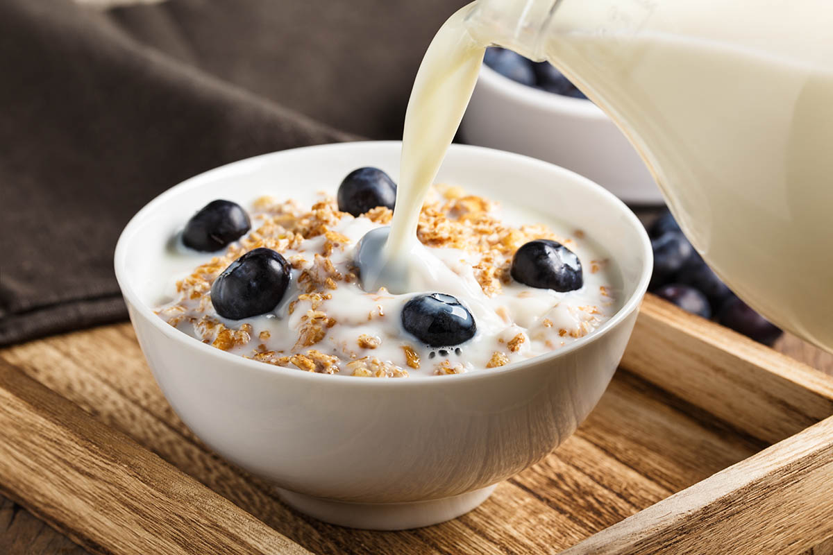 Stockfoto - Cereals with fresh blueberries
